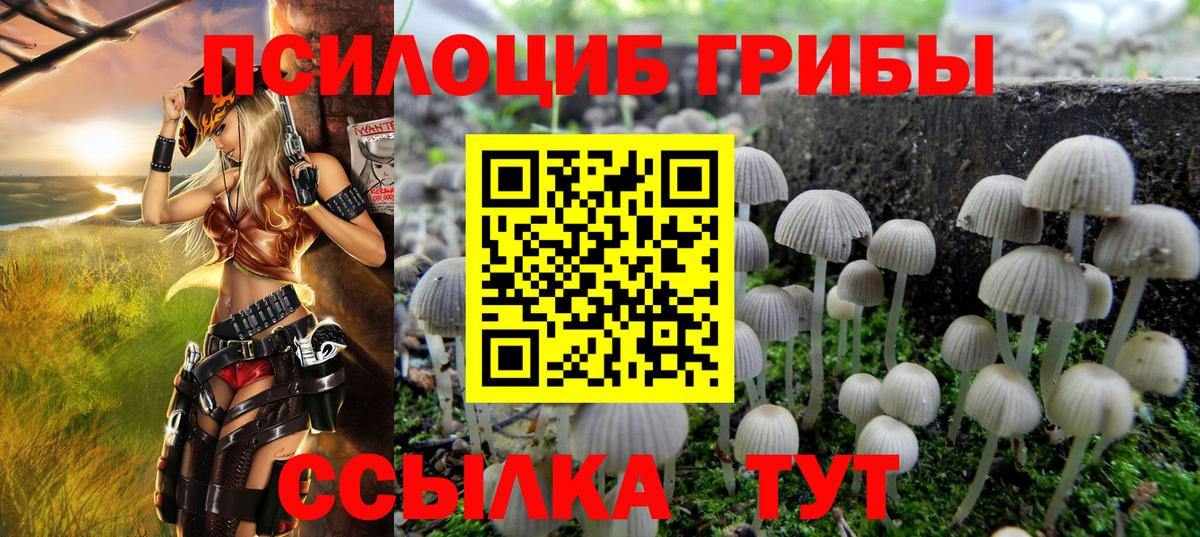 Псилоцибиновые грибы Cubensis Евпатория